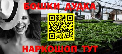 мдпв Новодвинск