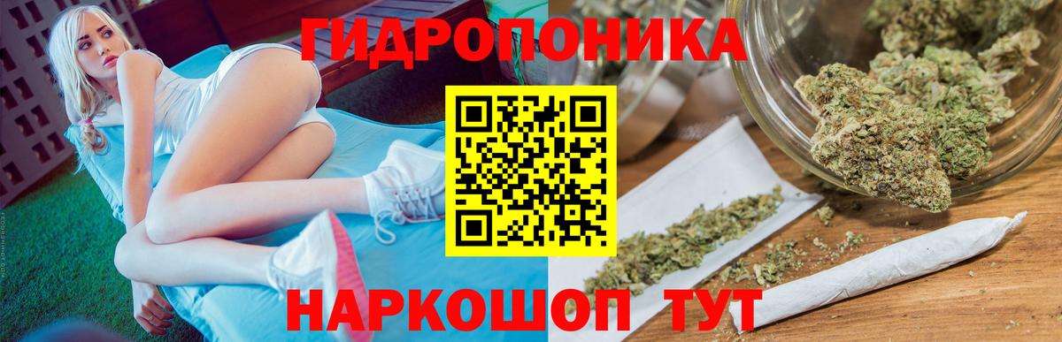 Канабис сатива  МАРИХУАНА OG Kush  Вход с VPN  Шатура  Каннабис ГИДРОПОН 